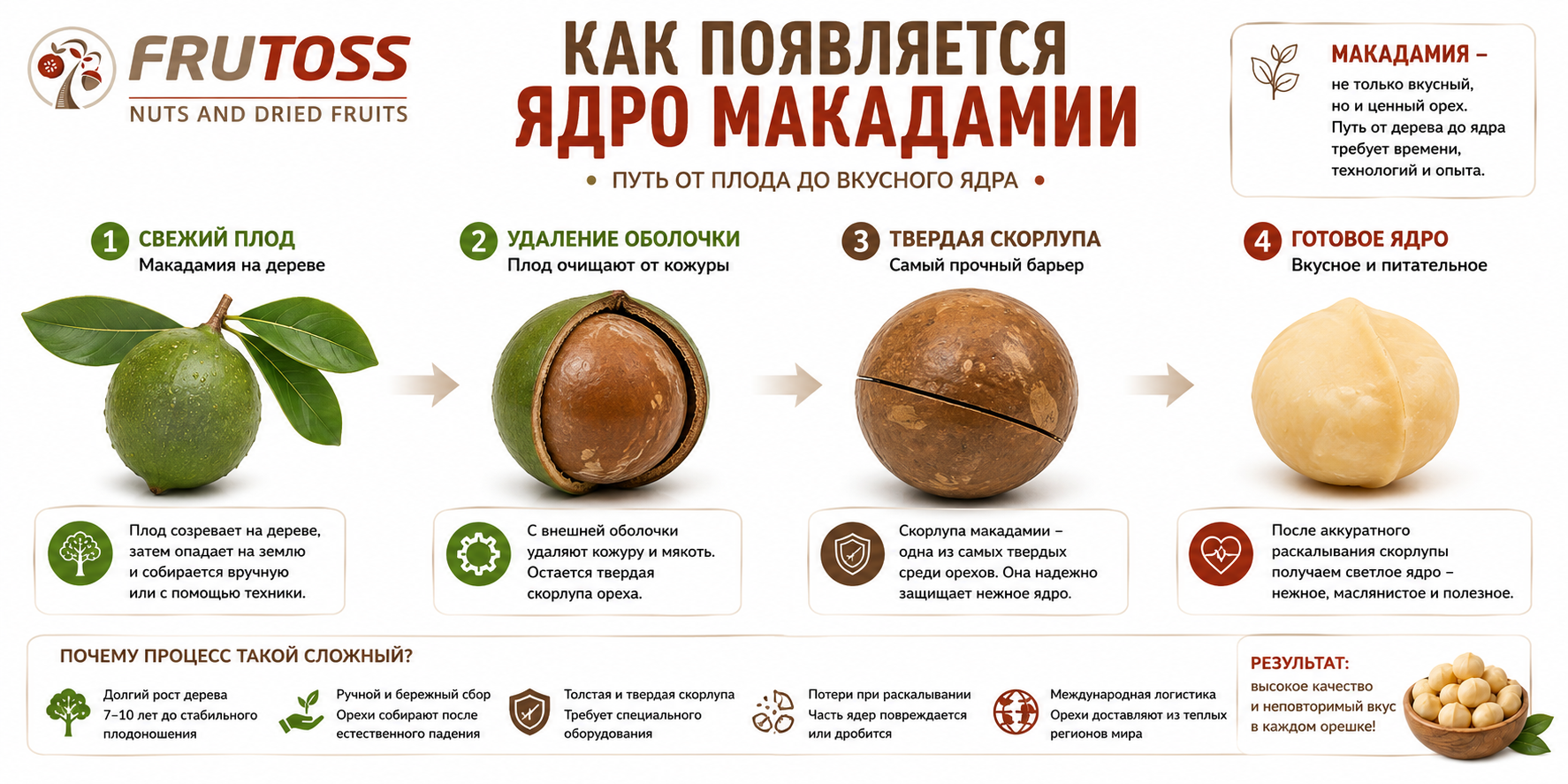 Как производится и очищается орех макадамия от плода до готового ядра