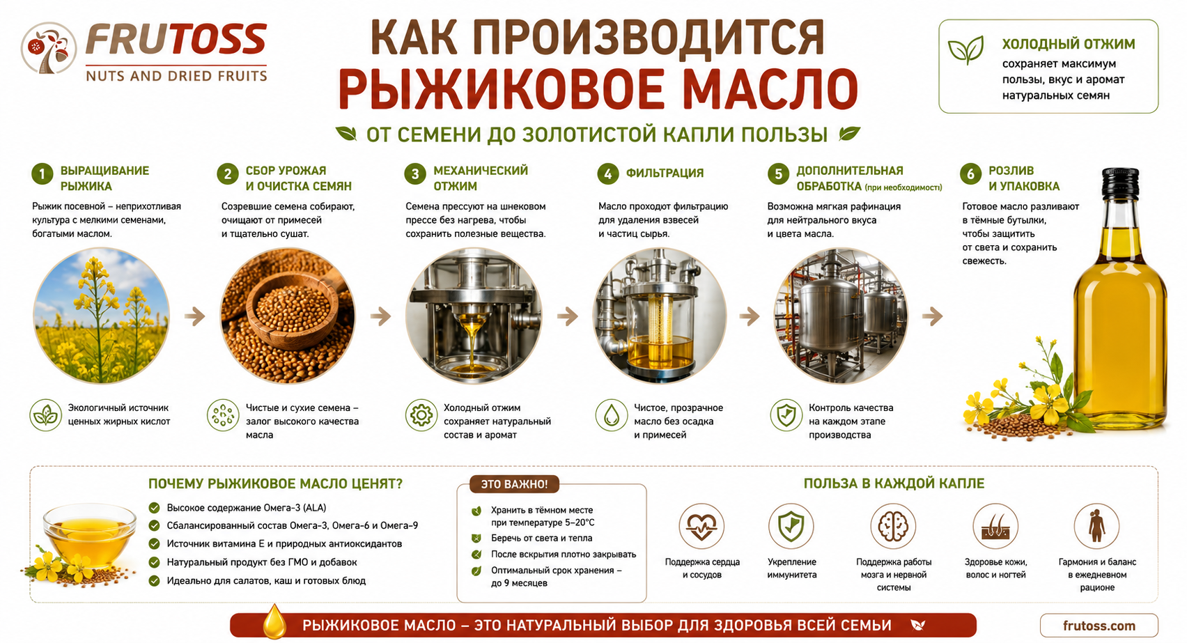 Как производится рыжиковое масло из семян рыжика посевного холодным отжимом